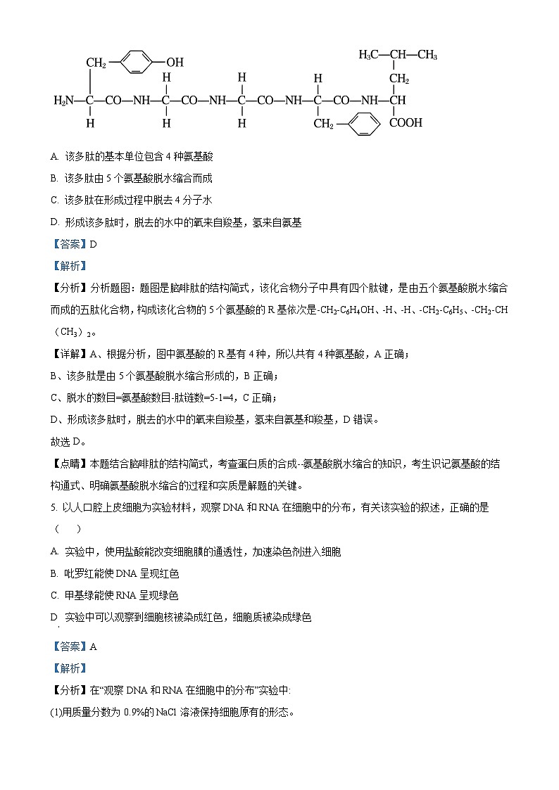 新疆和田地区第二中学2022-2023学年高三上学期12月月考生物试题（Word版附解析）03