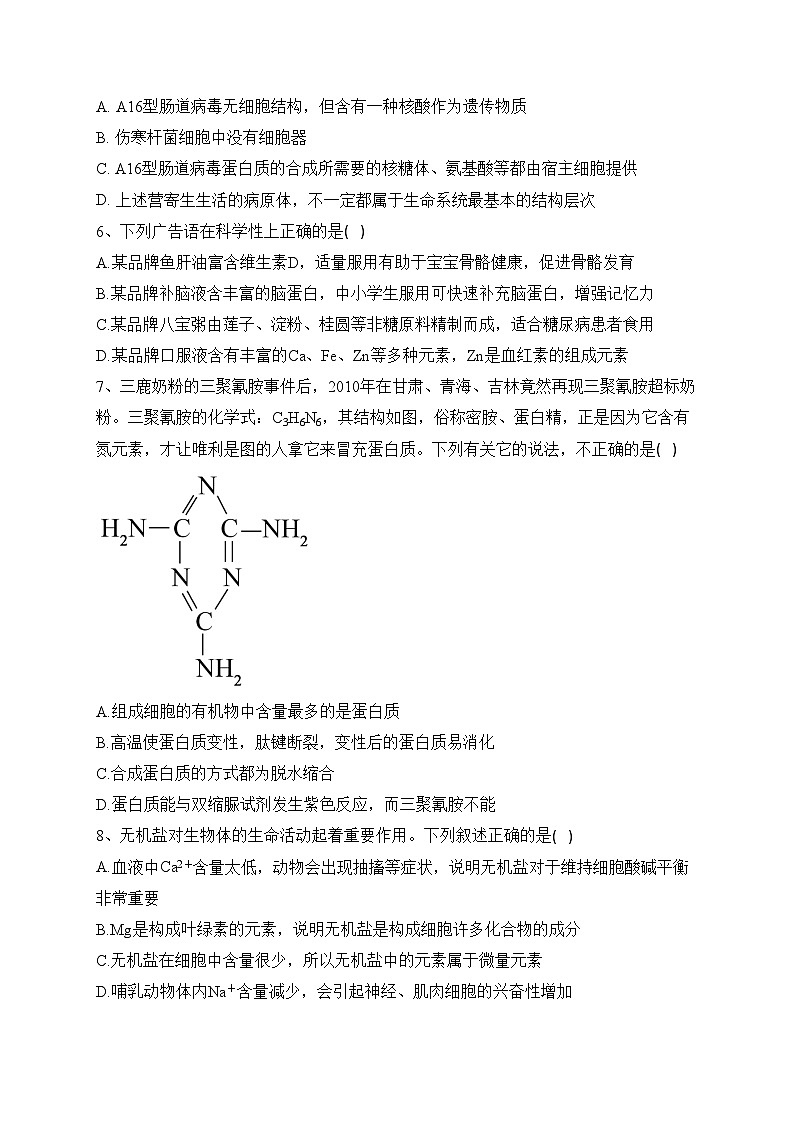 福建省福州市三中2023—2024学年高一上学期期中生物试题(含答案)02