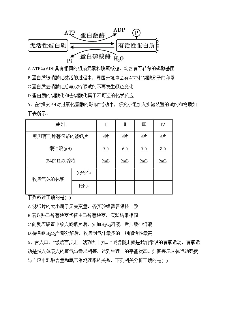 黑龙江省齐齐哈尔市普高联谊校2024届高三上学期期中考试生物试卷(含答案)第2页