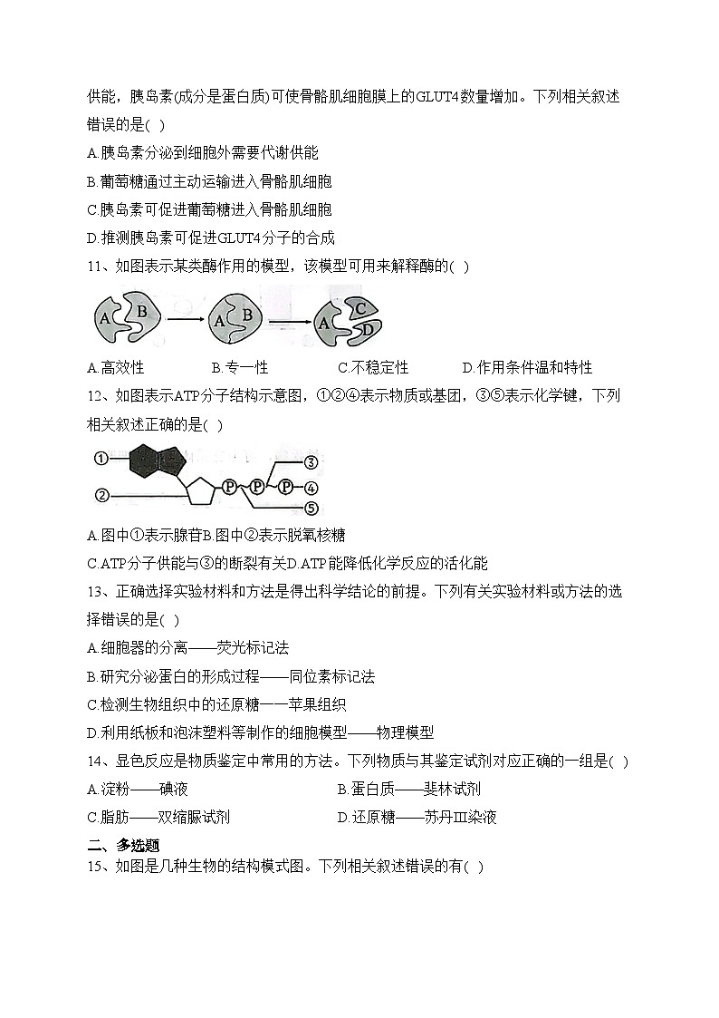 江苏省连云港市赣榆区2023-2024学年高一上学期11月期中学业水平质量监测生物试卷(含答案)03
