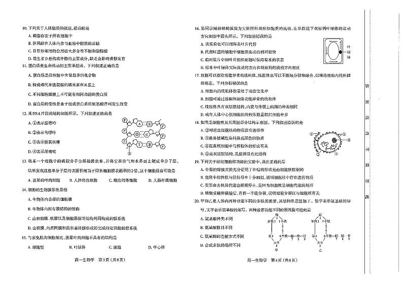 山西太原市2023-2024高一上学期生物期中试卷+答案02
