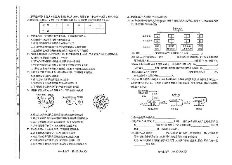 山西太原市2023-2024高一上学期生物期中试卷+答案03
