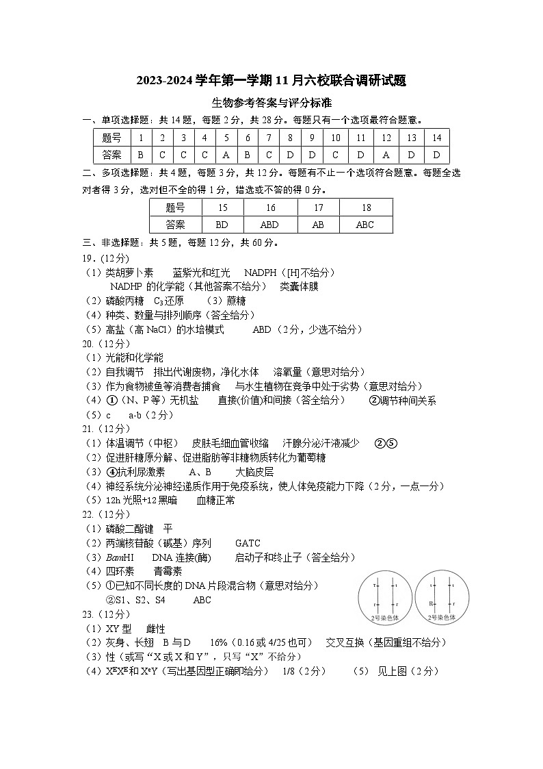 答案第1页
