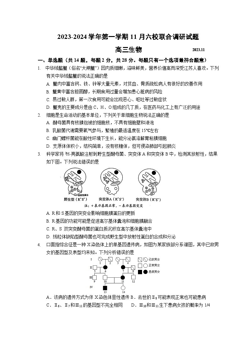 11月六校联考选题（终稿）第1页