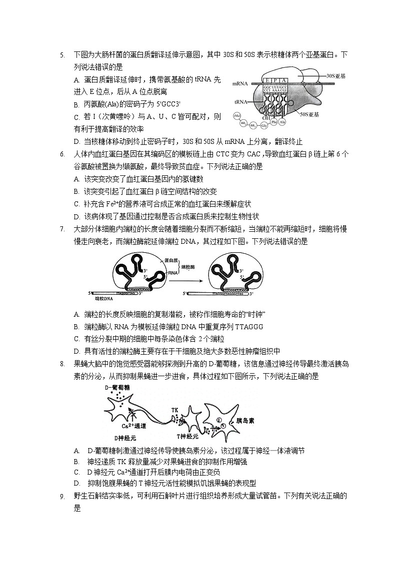 11月六校联考选题（终稿）第2页