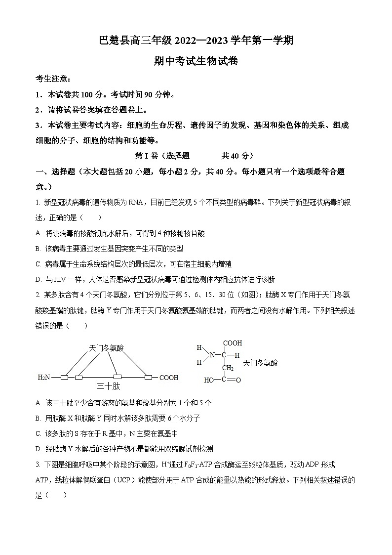 2023维吾尔自治区喀什地区巴楚县一中高三上学期11月期中考试生物试题含解析01