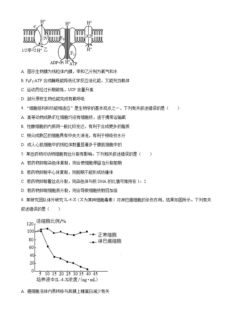 2023维吾尔自治区喀什地区巴楚县一中高三上学期11月期中考试生物试题含解析02