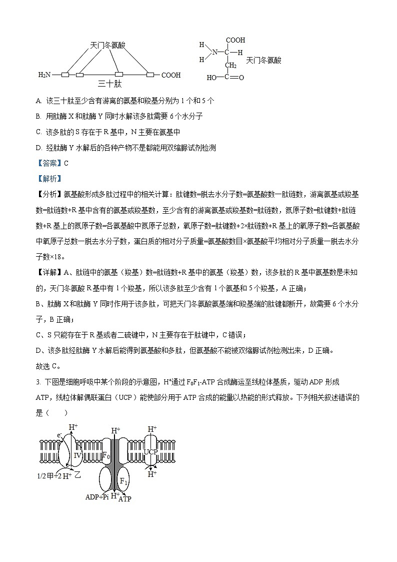 2023维吾尔自治区喀什地区巴楚县一中高三上学期11月期中考试生物试题含解析02
