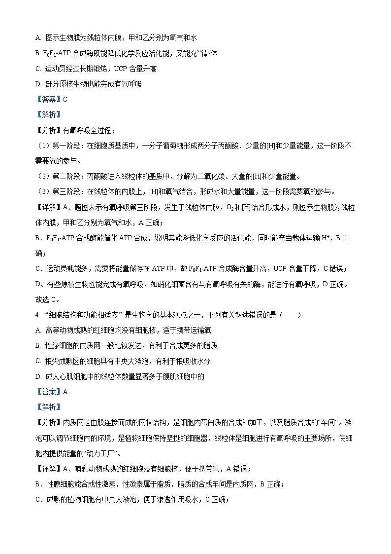 2023维吾尔自治区喀什地区巴楚县一中高三上学期11月期中考试生物试题含解析03