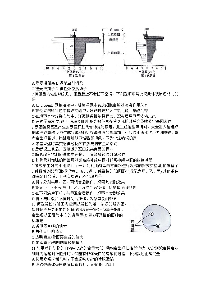 2024广东省部分学校高三上学期11月联考试题生物含答案第2页
