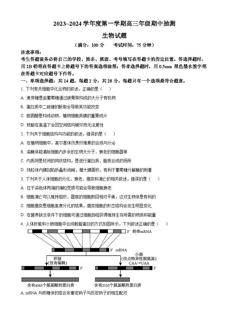 2024徐州高三上学期11月期中生物试题含解析01