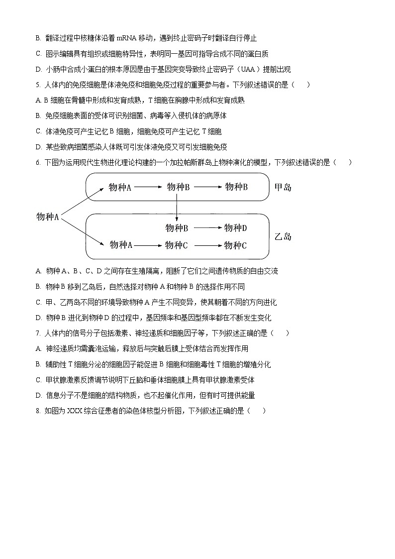 2024徐州高三上学期11月期中生物试题含解析02
