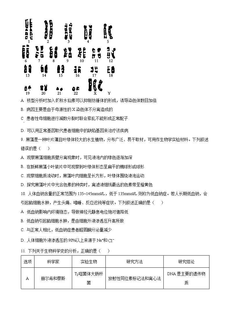 2024徐州高三上学期11月期中生物试题含解析03