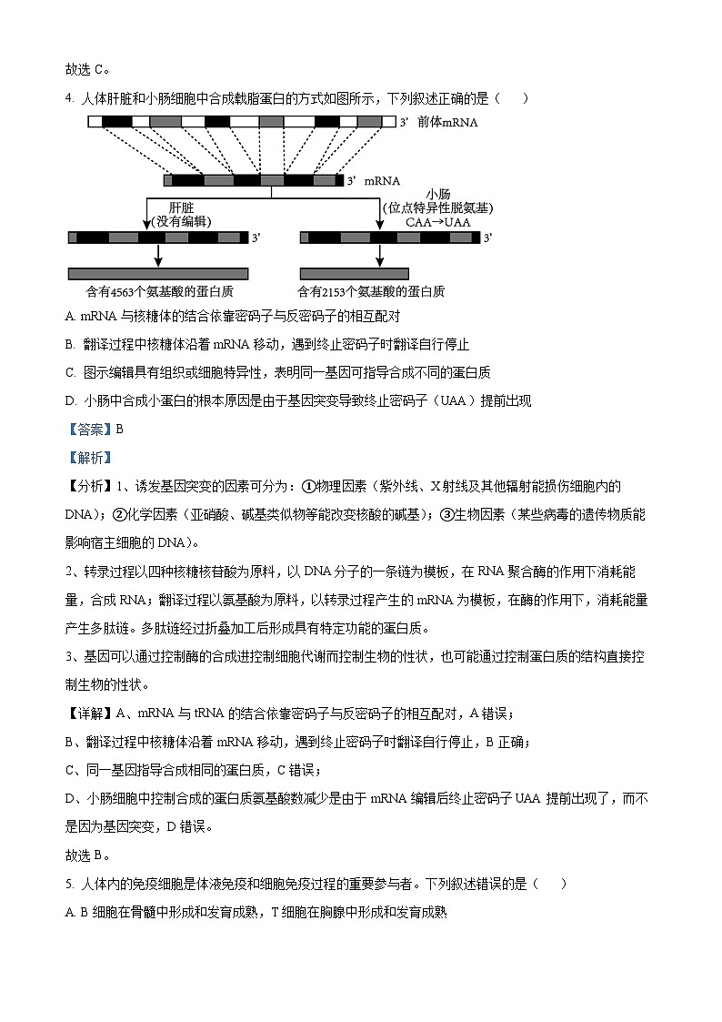 2024徐州高三上学期11月期中生物试题含解析03