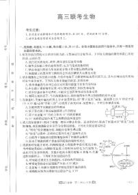 2024商洛五校高三上学期11月联考试题生物PDF版含答案