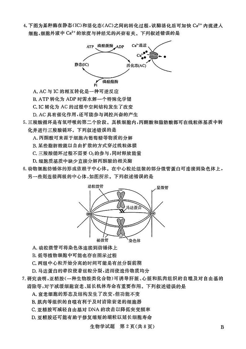 河南省金科·新未来2023-2024学年高三上学期11月联考生物第2页