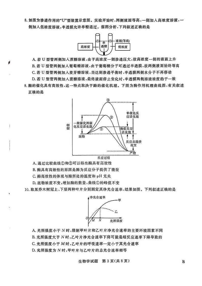 河南省金科·新未来2023-2024学年高三上学期11月联考生物第3页
