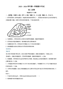 2024厦门湖滨中学高三上学期期中考试生物含解析