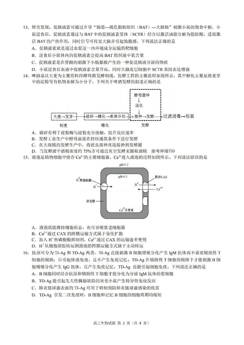 2024浙江省91高中联盟高三上学期期中联考试题生物PDF版含答案03