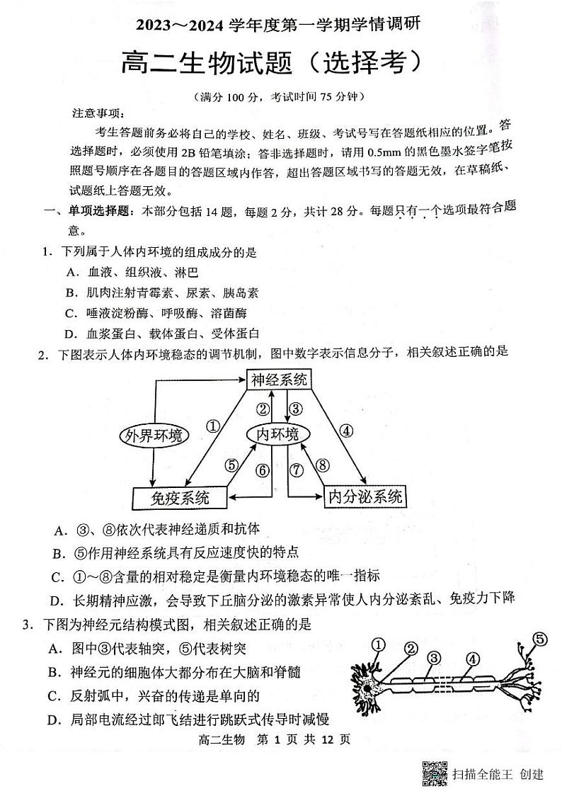 2024徐州铜山区高二上学期期中考试生物试题PDF版无答案01