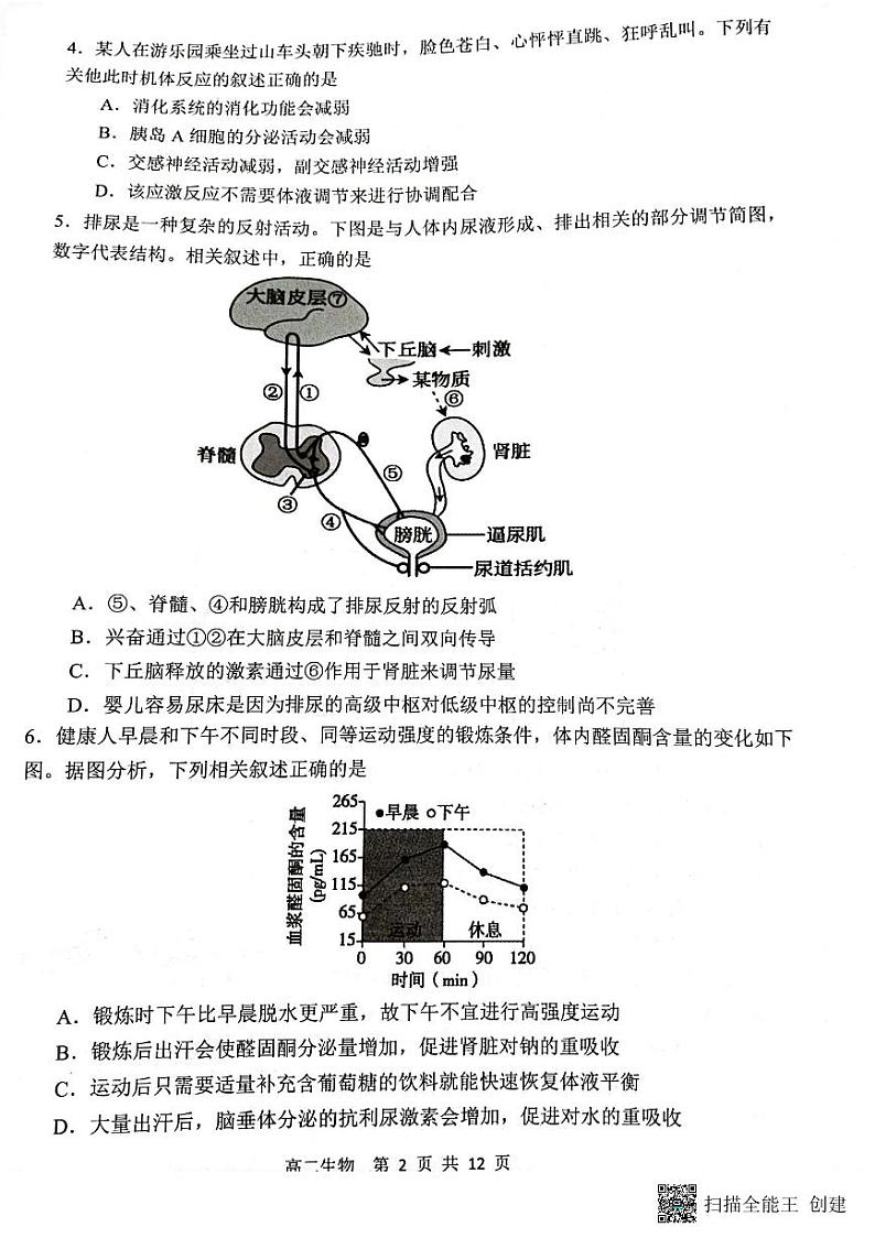 2024徐州铜山区高二上学期期中考试生物试题PDF版无答案02