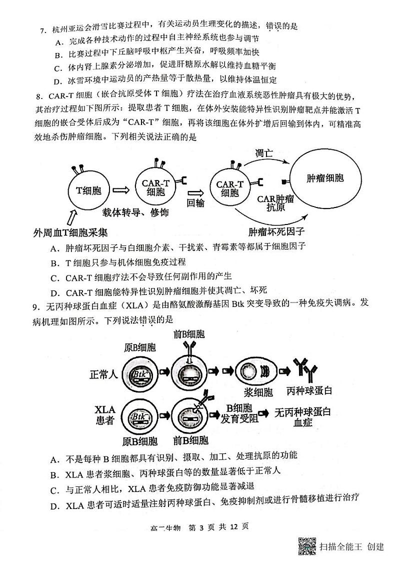 2024徐州铜山区高二上学期期中考试生物试题PDF版无答案03