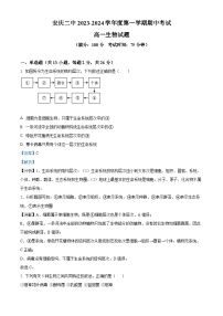 安徽省安庆市第二中学2023-2024学年高一上学期11月期中生物试题（Word版附解析）