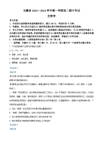 安徽省滁州九校2023-2024学年高二上学期期中生物试题（Word版附解析）