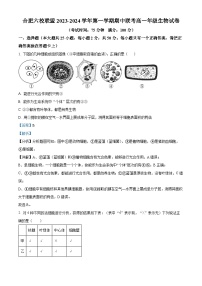 安徽省合肥市六校联盟2023-2024学年高一上学期11月期中生物试题（Word版附解析）