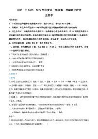 安徽省合肥市一中2023-2024学年高一上学期期中生物试题（Word版附解析）