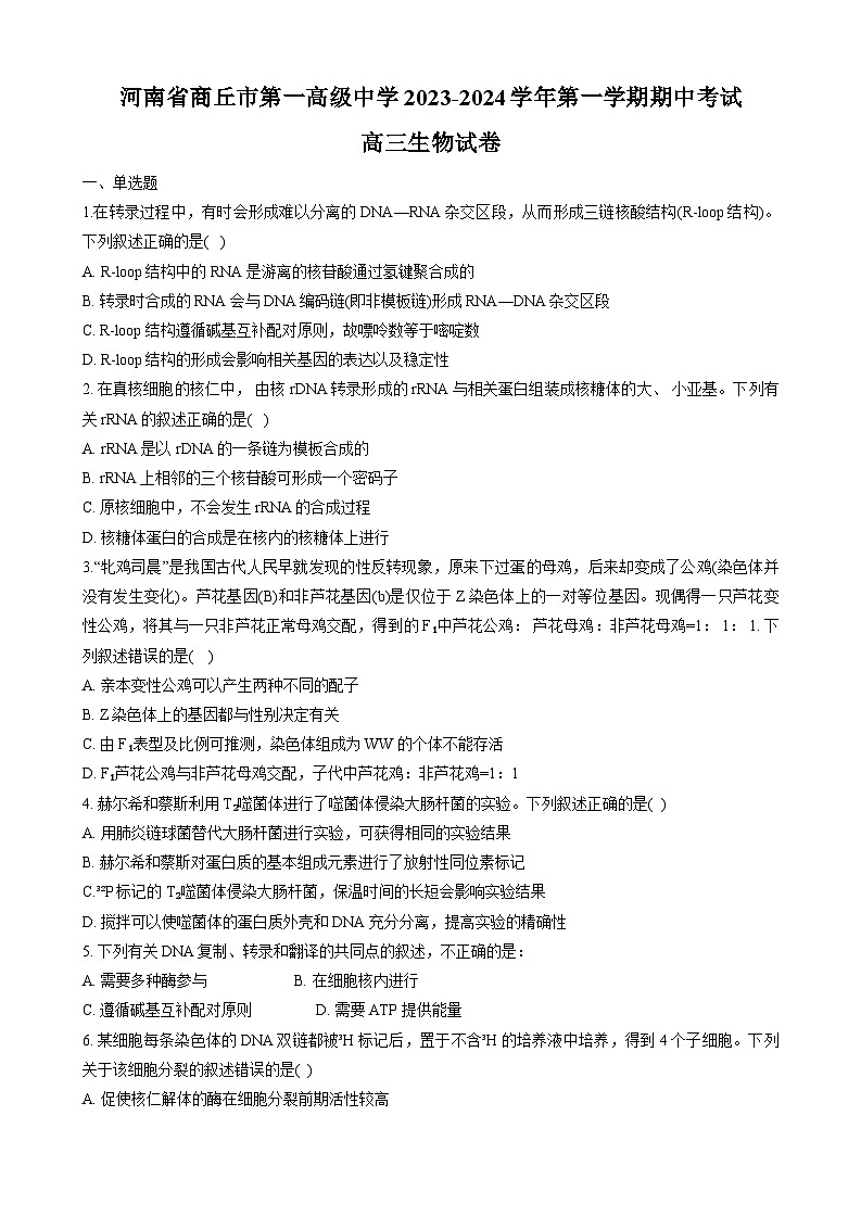 河南省商丘市第一高级中学2023-2024学年高三上学期期中生物试题（Word版附答案）01