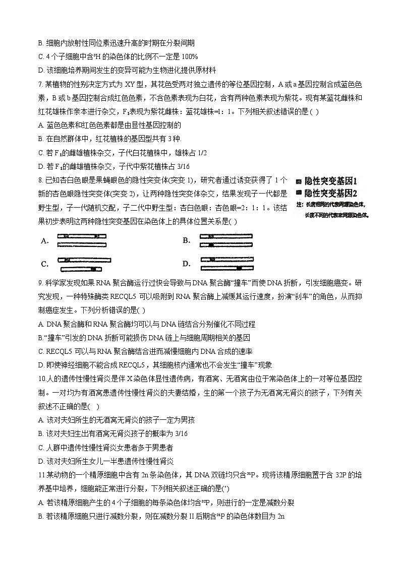 河南省商丘市第一高级中学2023-2024学年高三上学期期中生物试题（Word版附答案）02