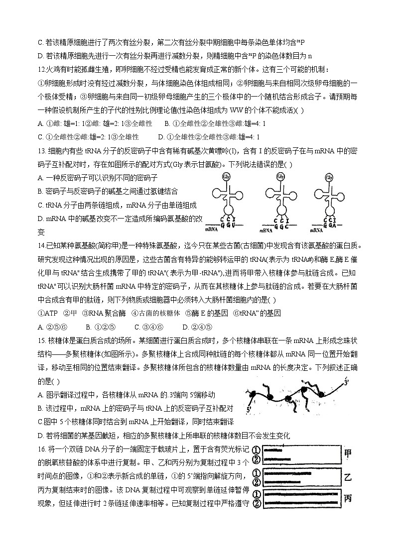 河南省商丘市第一高级中学2023-2024学年高三上学期期中生物试题（Word版附答案）03
