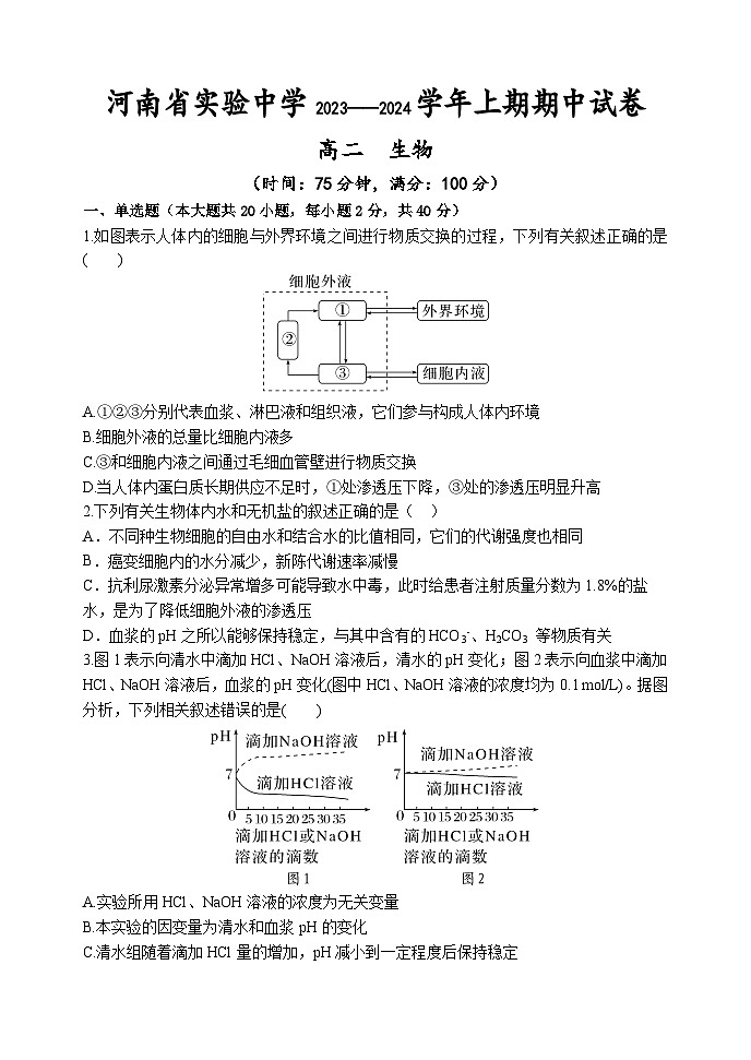 河南省实验中学2023-2024学年高二上学期期中生物试题（Word版附答案）01