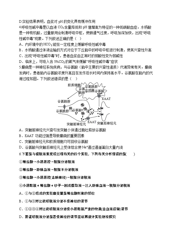 河南省实验中学2023-2024学年高二上学期期中生物试题（Word版附答案）02