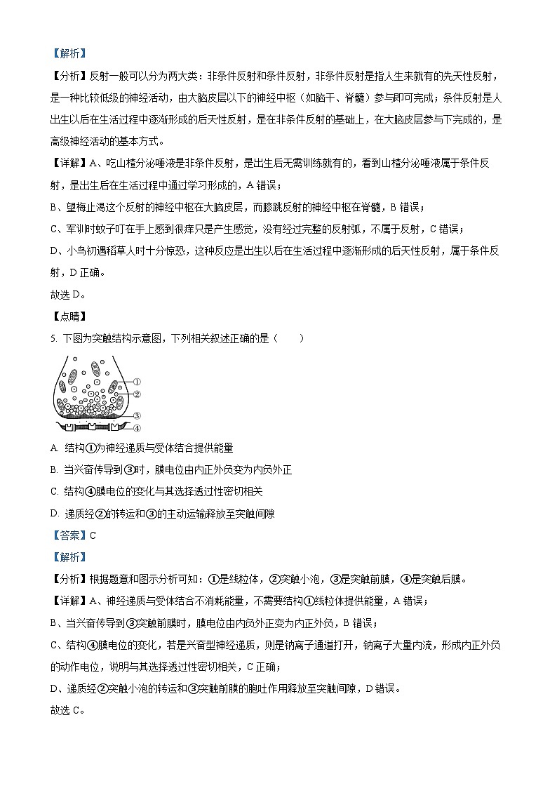 江苏省盐城市阜宁中学2023-2024学年高二上学期期中生物试题（Word版附解析）第3页