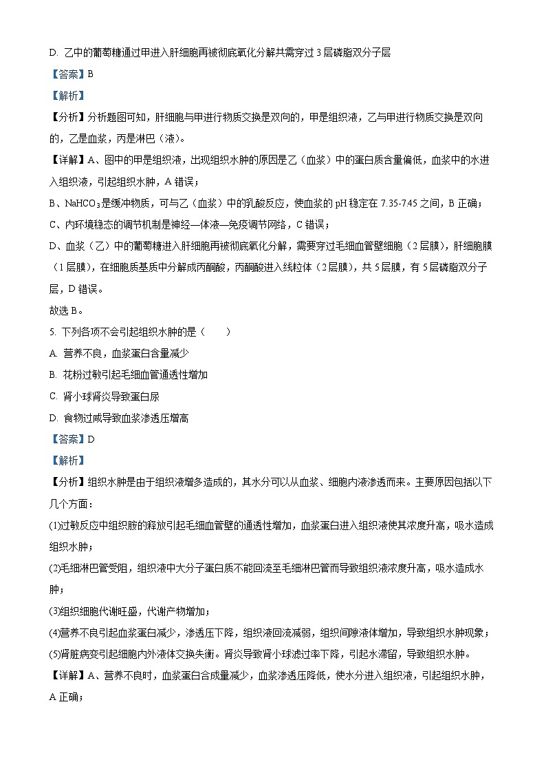内蒙古赤峰市红山区赤峰第四中学2023-2024学年高二上学期11月期中生物试题（Word版附解析）第3页