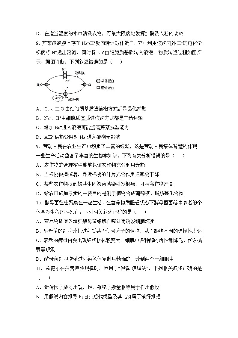 湖南省衡阳县第四中学2023-2024学年高三上学期11月期中生物试题03