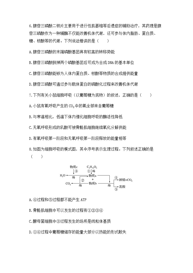 2024届高三生物一轮复习（老教材）基础练习：ATP和细胞呼吸的原理、过程第3页