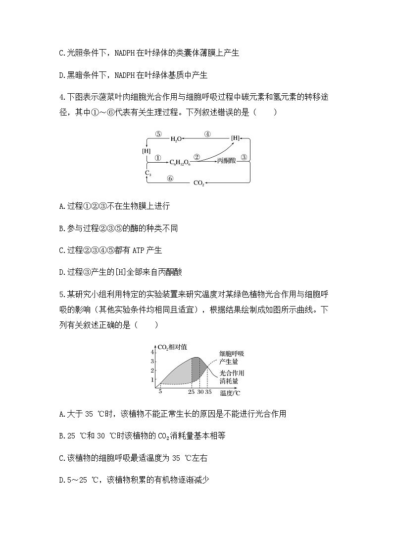 2024届高三生物一轮复习（老教材）基础练习：光合作用与细胞呼吸的关系第2页