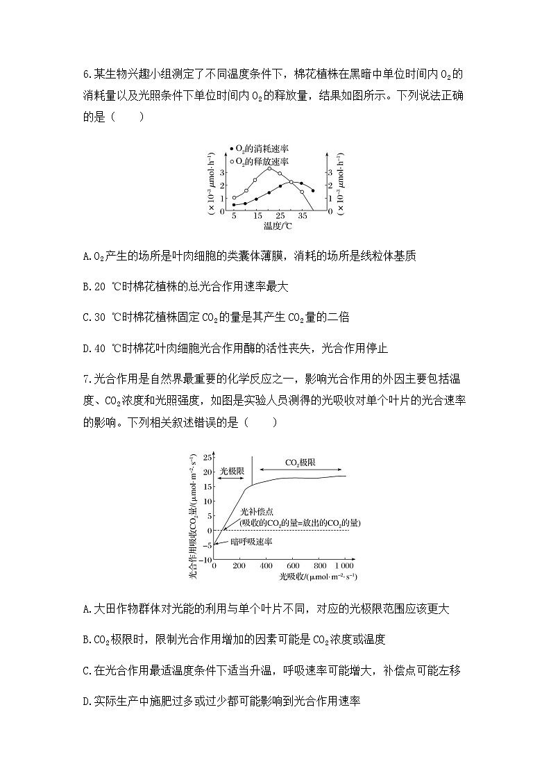 2024届高三生物一轮复习（老教材）基础练习：光合作用与细胞呼吸的关系第3页
