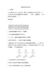 2024届高三生物一轮复习（老教材）基础练习：基因的表达