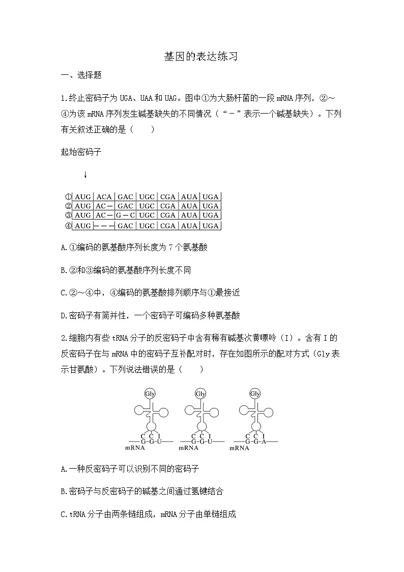 2024届高三生物一轮复习（老教材）基础练习：基因的表达第1页