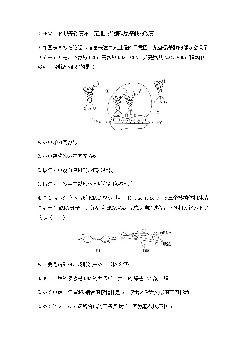 2024届高三生物一轮复习（老教材）基础练习：基因的表达第2页