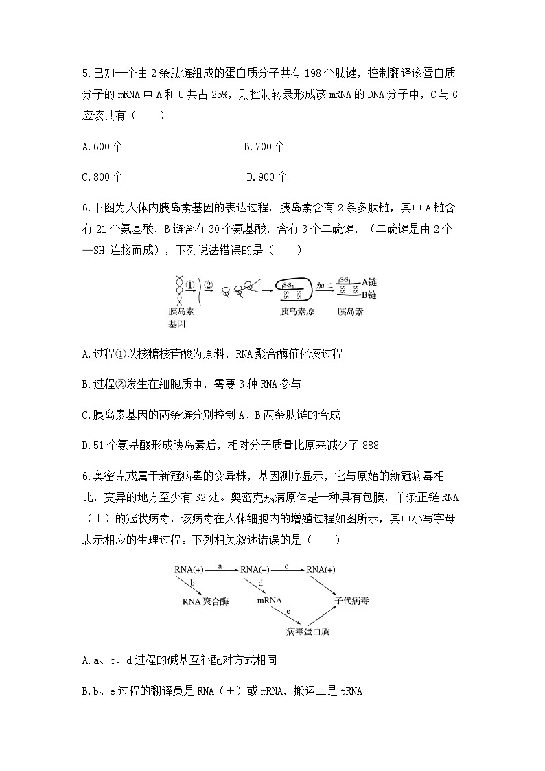 2024届高三生物一轮复习（老教材）基础练习：基因的表达第3页