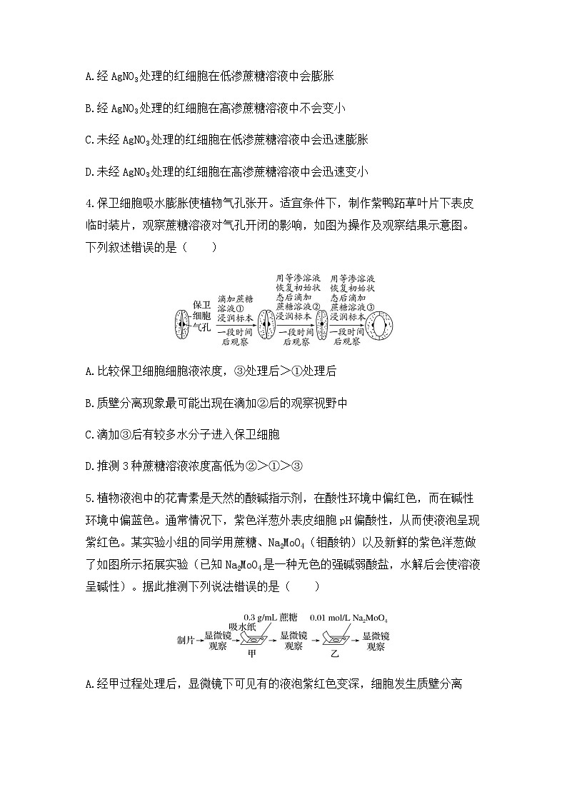 2024届高三生物一轮复习（老教材）基础练习：物质跨膜运输的实例第2页