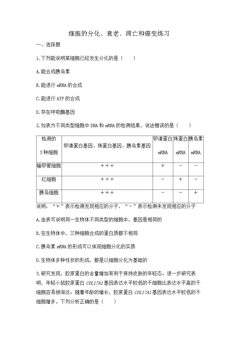 2024届高三生物一轮复习（老教材）基础练习：细胞的分化、衰老、凋亡和癌变第1页