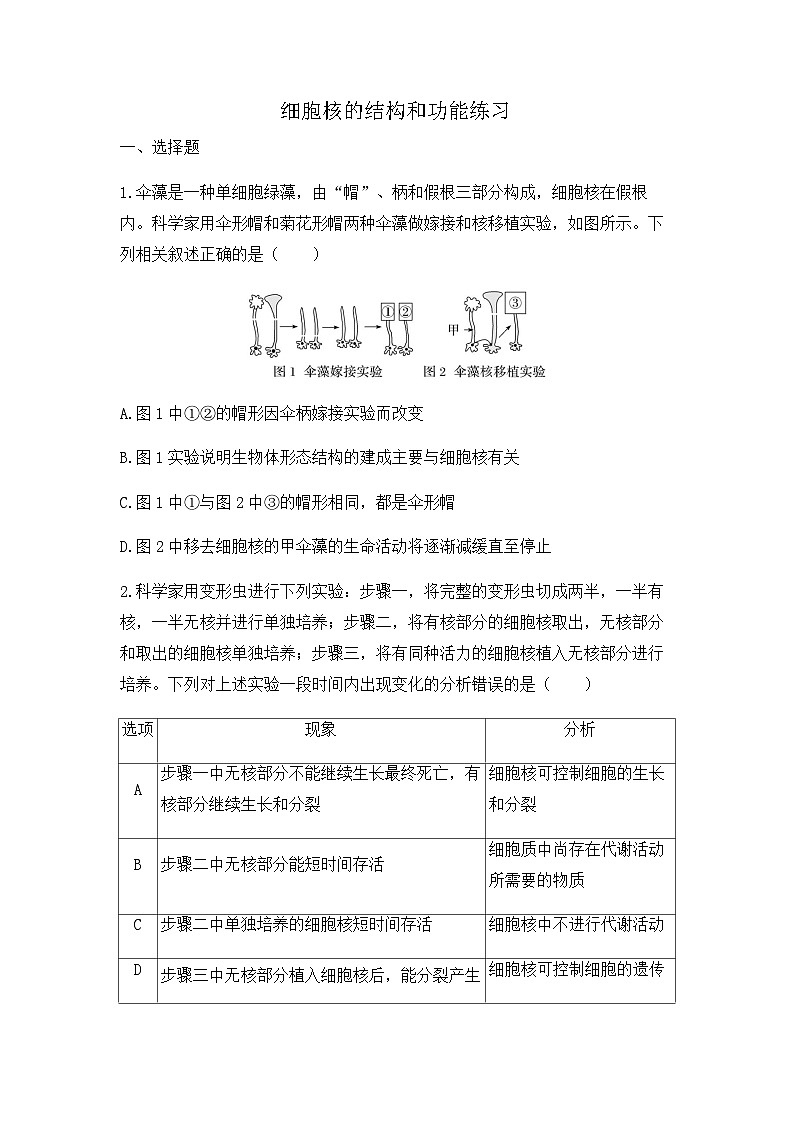 2024届高三生物一轮复习（老教材）基础练习：细胞核的结构和功能第1页