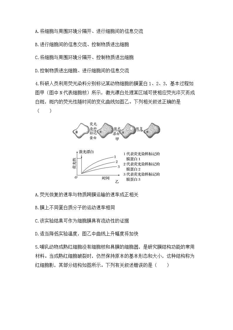 2024届高三生物一轮复习（老教材）基础练习：细胞膜的结构和功能第2页