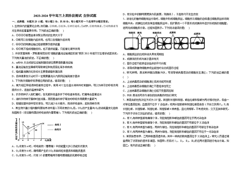 河南省西峡县第一高级中学2023-2024学年高三上学期11月阶段测试生物试题01